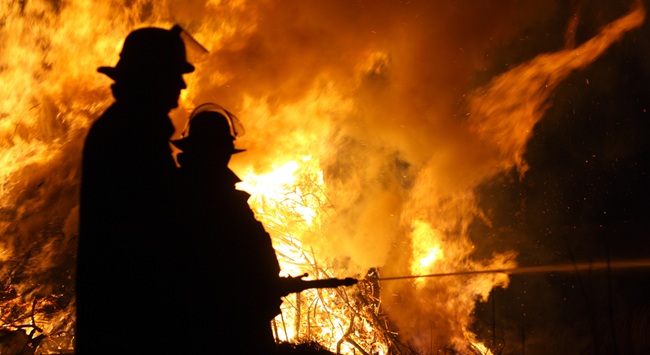 Wildland Firefighters